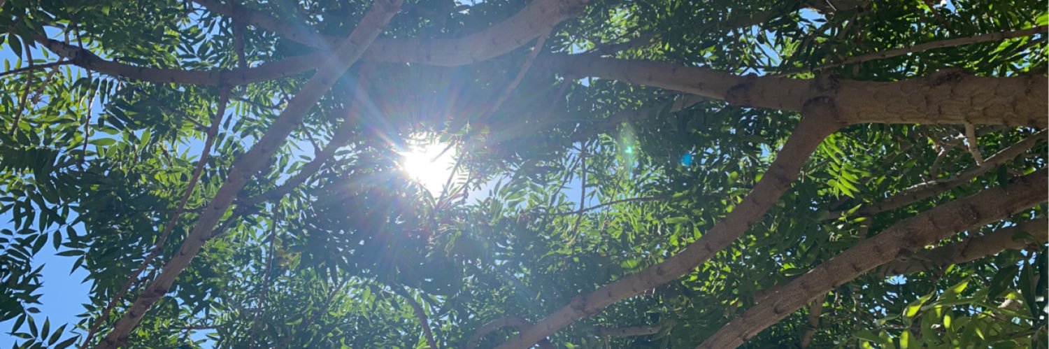 _vvibez's profile banner image