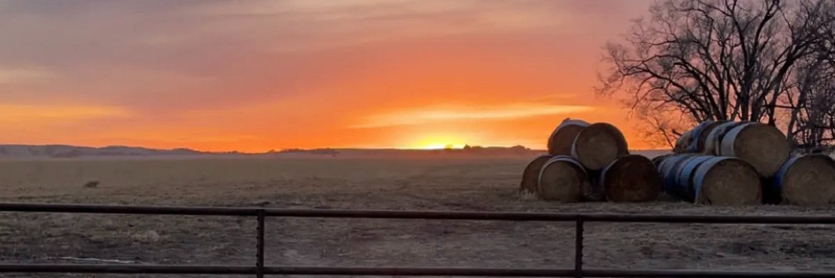 LisaMillar7's profile banner image