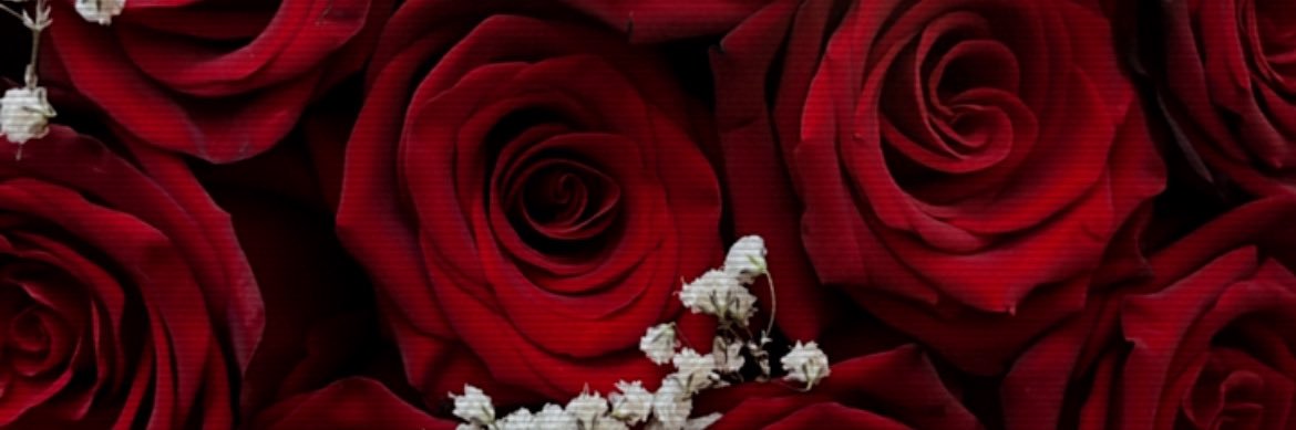 Rosaannee_'s profile banner image