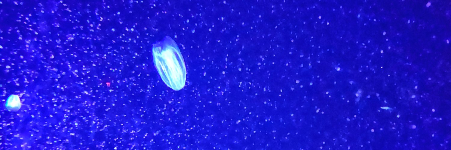 ItzAbsoluteKaos banner