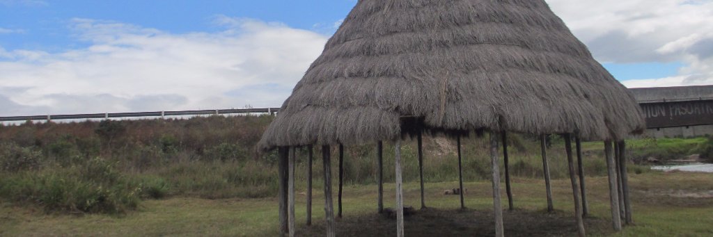 aragranado's profile banner image