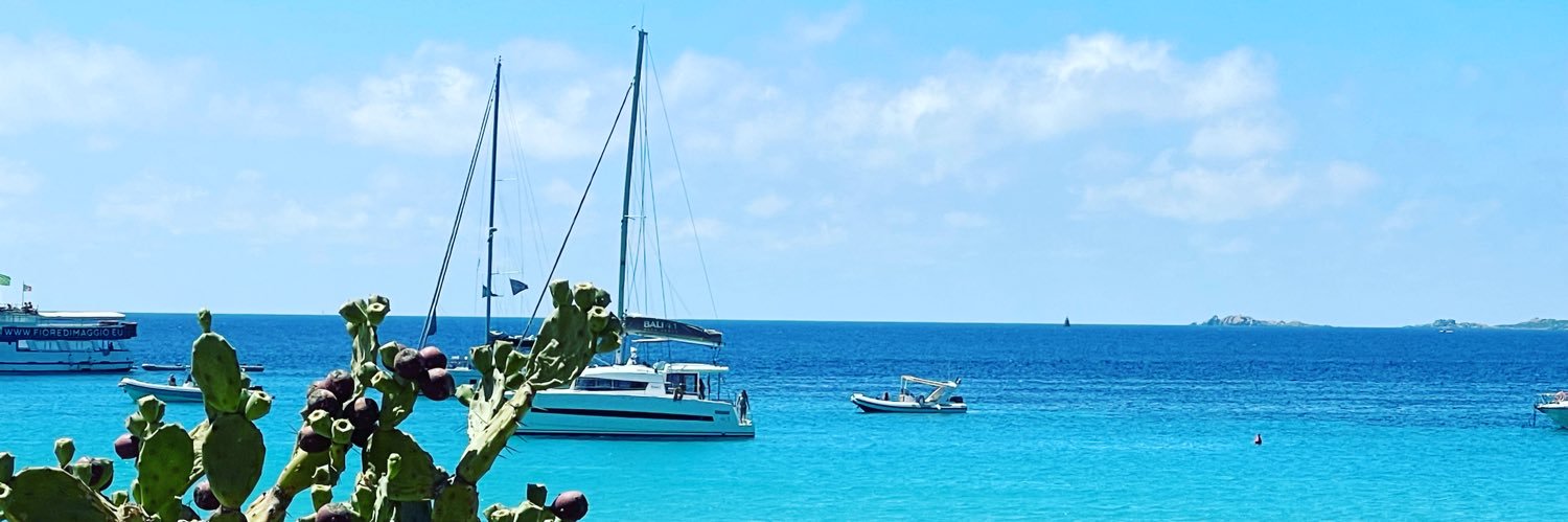 Sandro P. banner