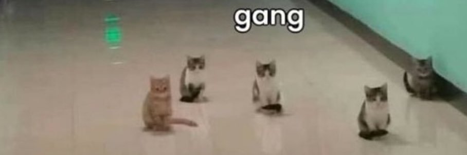 Maggaymer_'s profile banner image