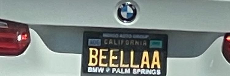 bella ྀི's banner