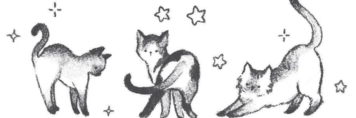 evermoreluli's profile banner image