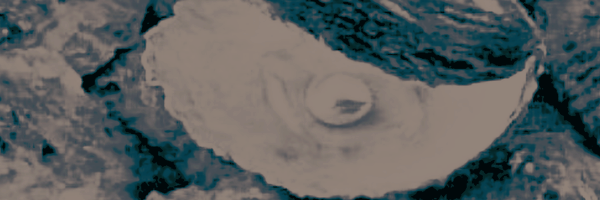 chvrmingocean Profile Banner