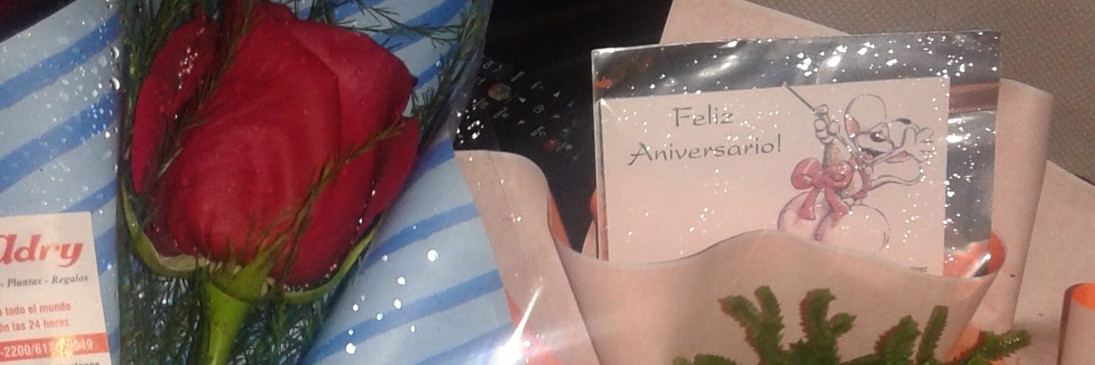 barbaraserafini's profile banner image
