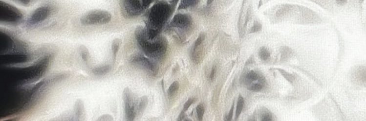 xtrabby's profile banner image