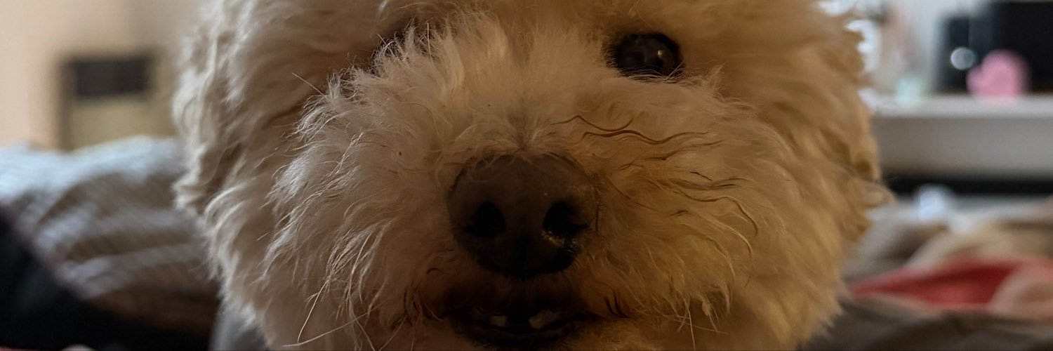 Tefiirenzone's profile banner image