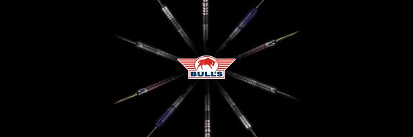 Bull's Darts NL Profile Banner