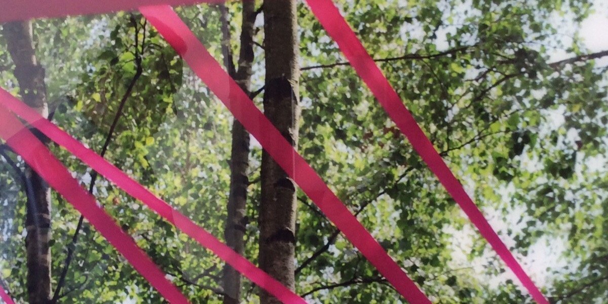 DavidCarey's profile banner image