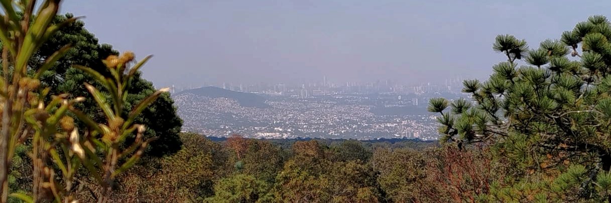 natuden's profile banner image