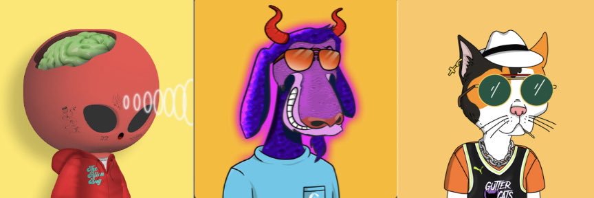 ncjsdvdlk's profile banner image