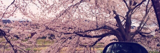 chi_chococo's profile banner image