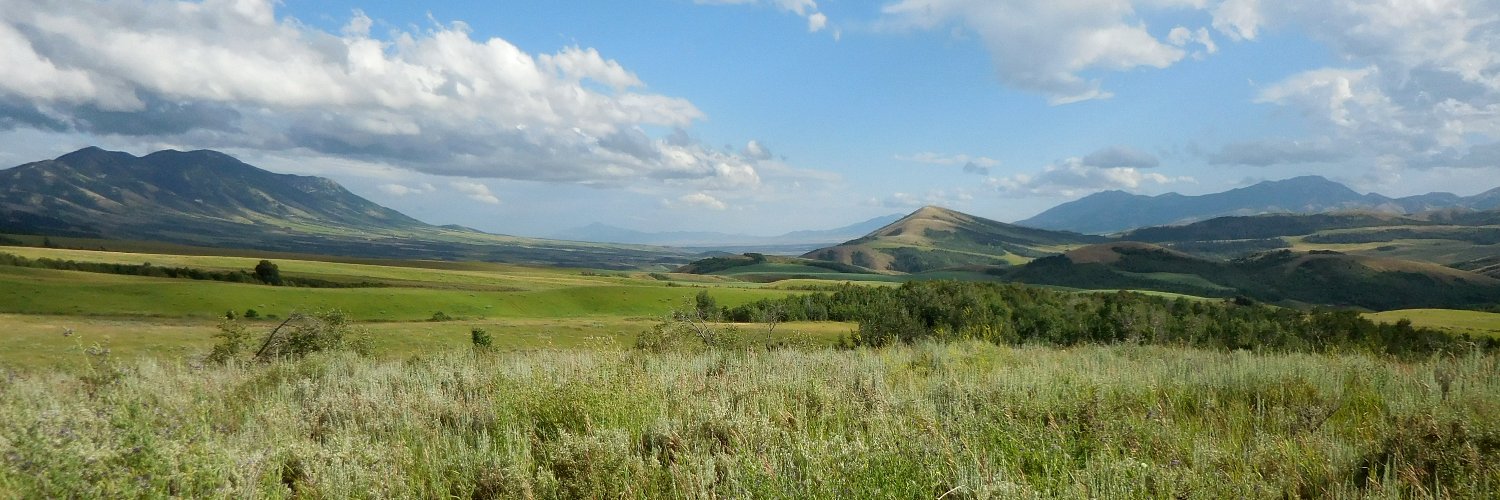 idahotax's profile banner image