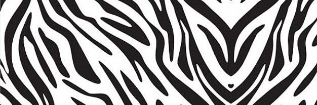MICIELIS's profile banner image