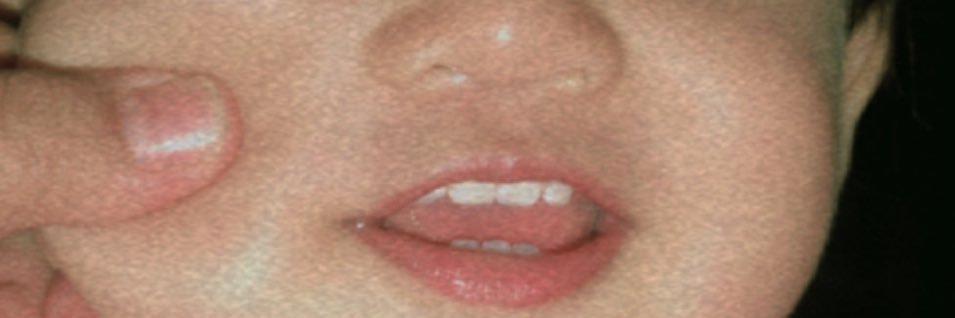 dishwoals's profile banner image