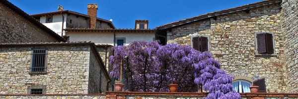 StefScorn Profile Banner