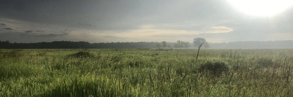 Stephanie Beilke banner