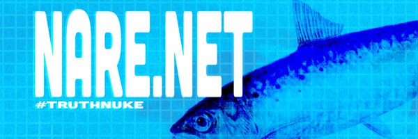 nareonthenet Profile Banner