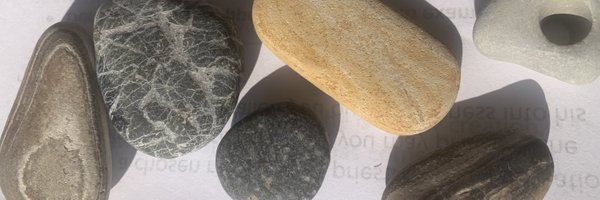 Buckeybucoaroo Profile Banner