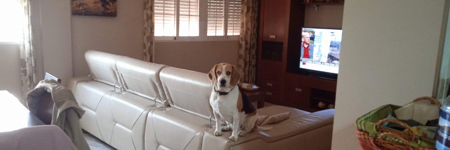 Rascarcio rojo banner