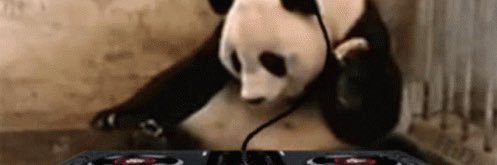 PsychicPanda7's profile banner image