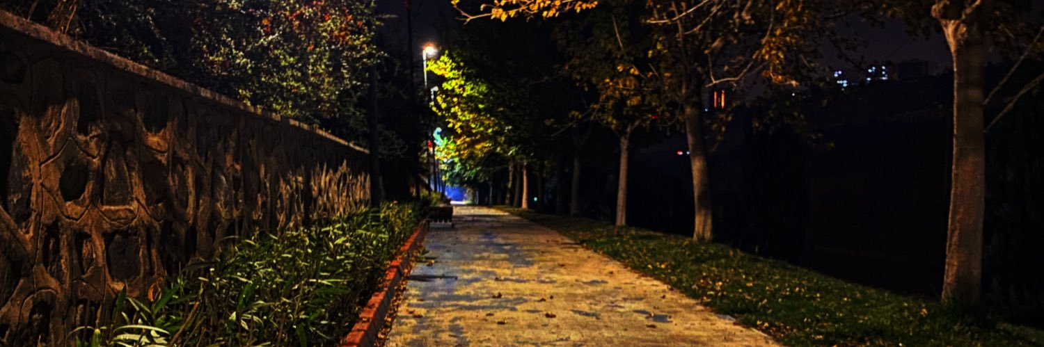 Güneş banner