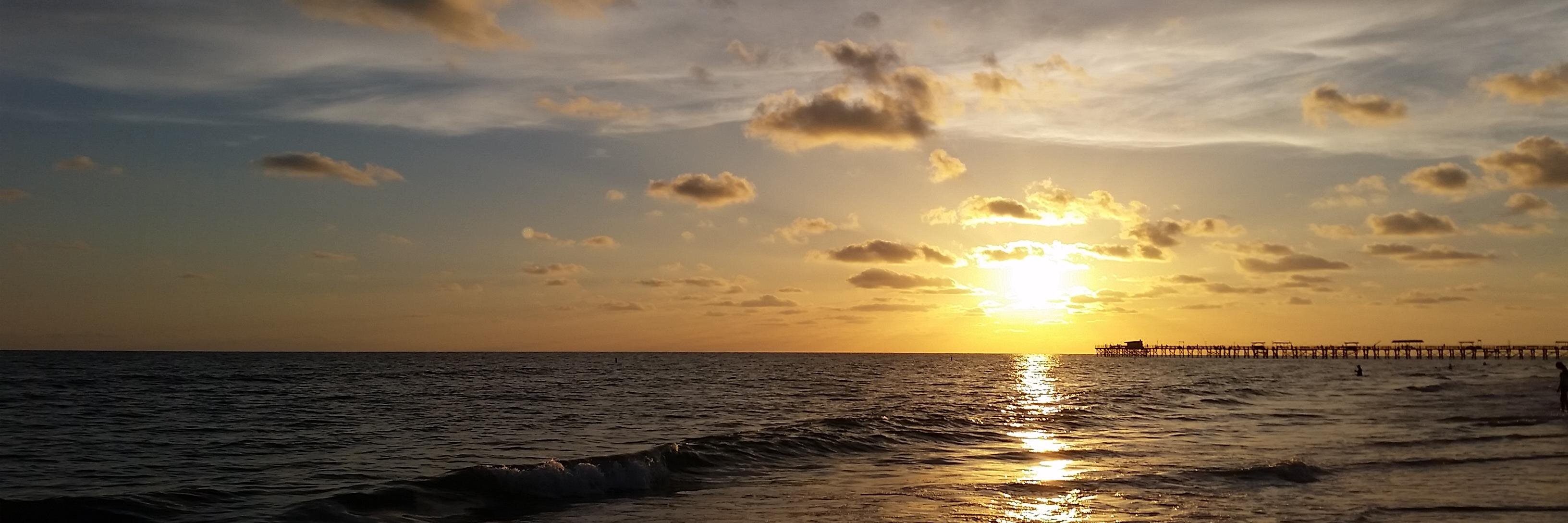 Brandon Roysden banner