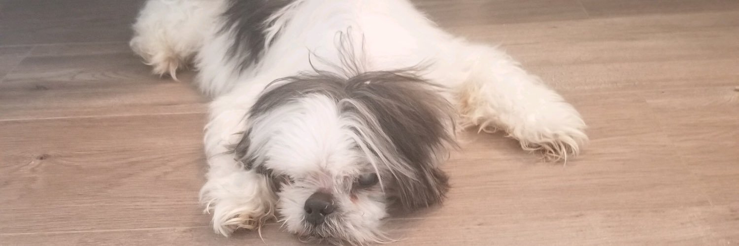 xChrisFl's profile banner image