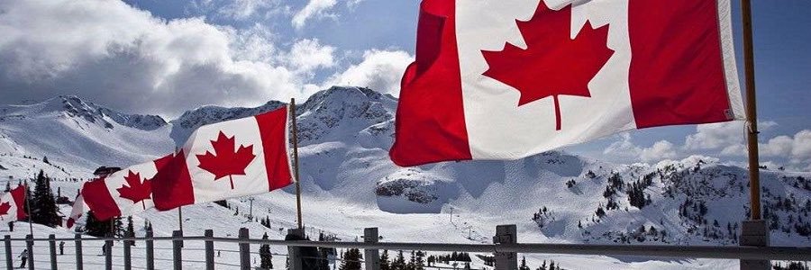 Mike McCready banner