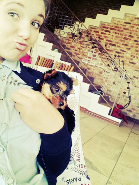 Kayla_Erasmus ♡  banner