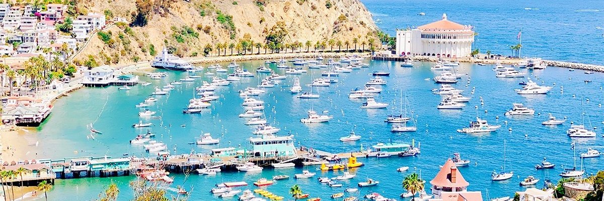 GoingStrategic banner