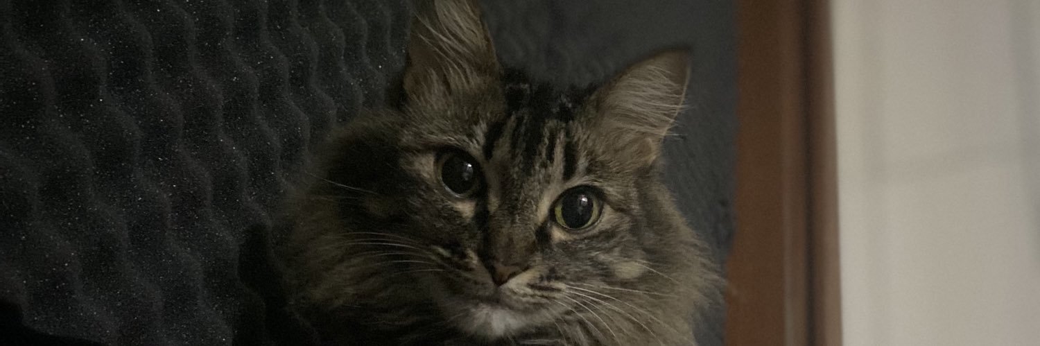 owdanna's profile banner image