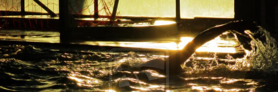 EveRios22's profile banner image