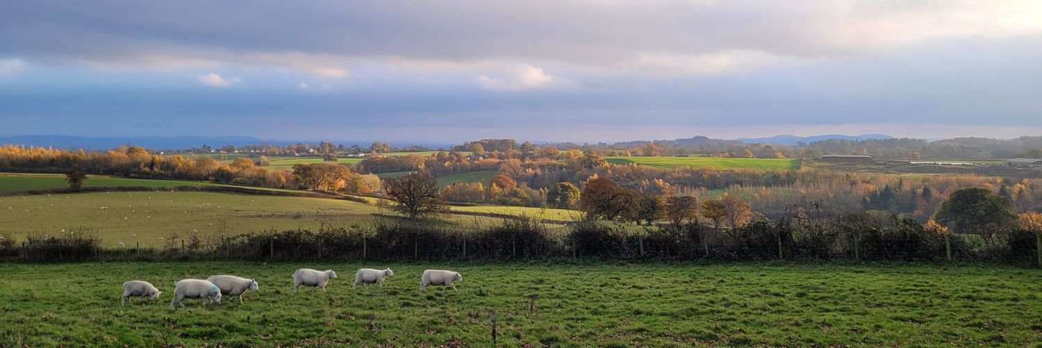 k_griffiths's profile banner image