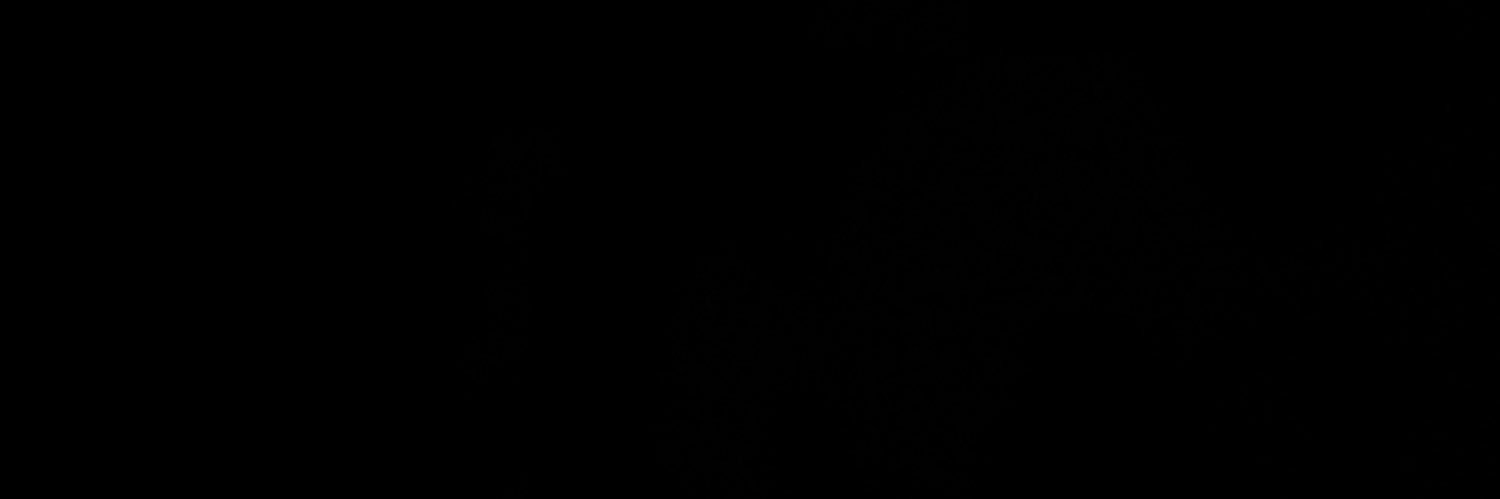 dodo_gualberto's profile banner image