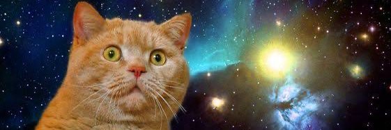 USAYAMA¨̮⃝よんさい🦖 banner