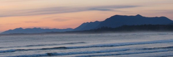 reginaldcurtis Profile Banner