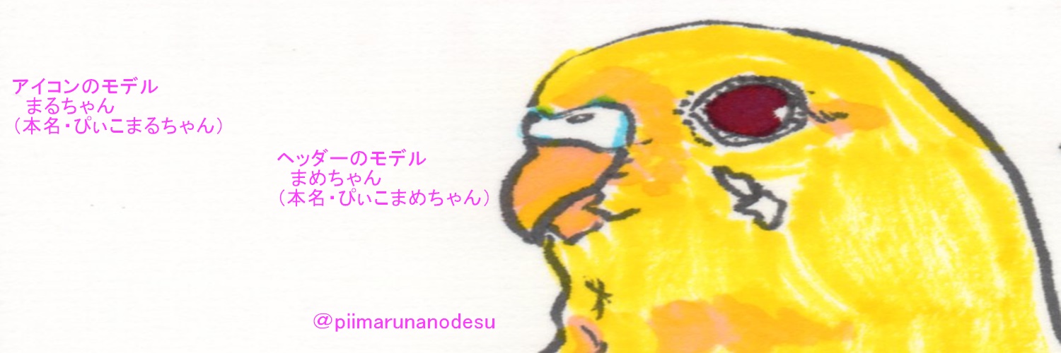 ぴぃこ🐣 banner