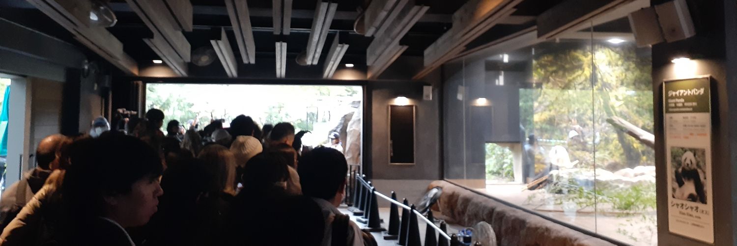 チャキ・チャキ banner