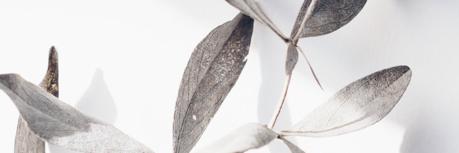 Re_alicefox13's profile banner image
