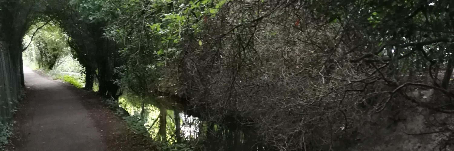 claratee's profile banner image