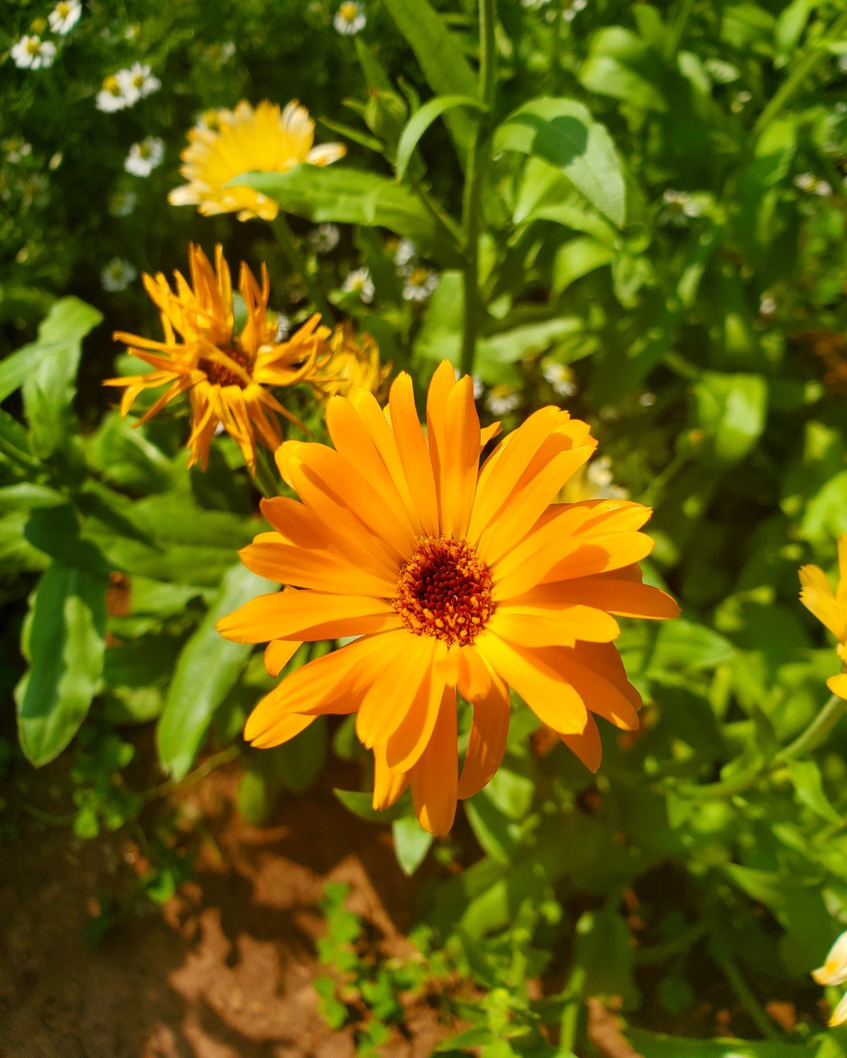 tbel7619's profile banner image