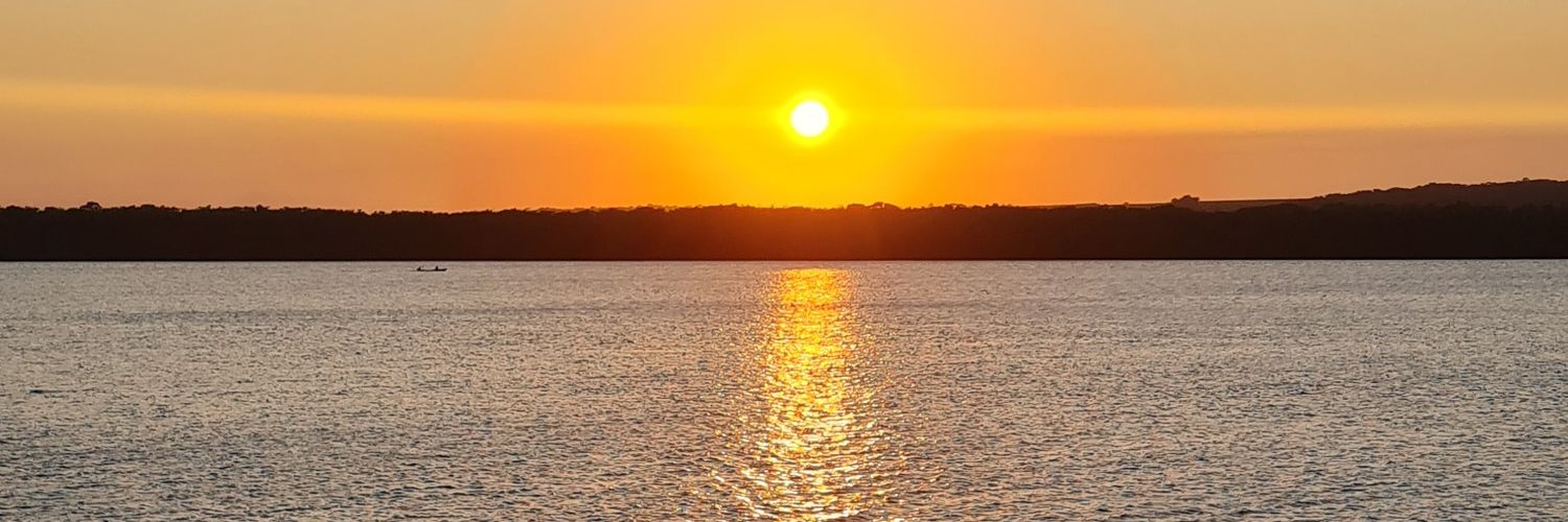 mariadoscactos's profile banner image
