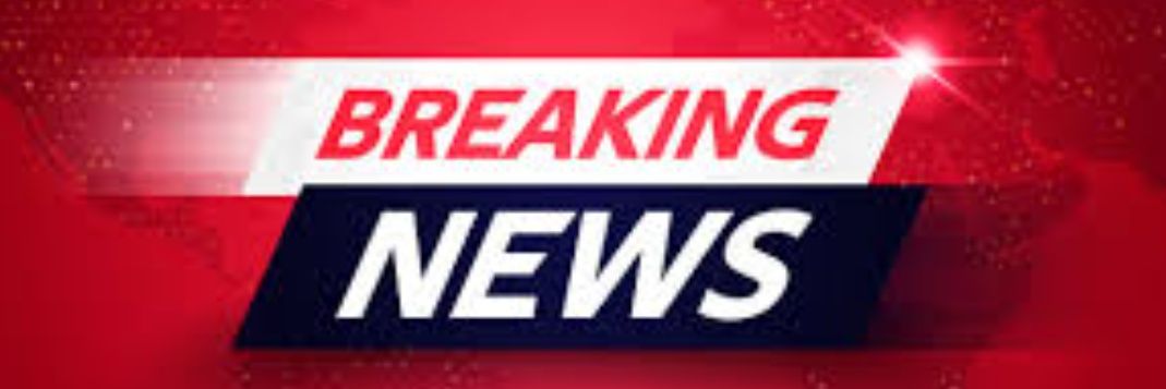 THE TOWN CRIER banner