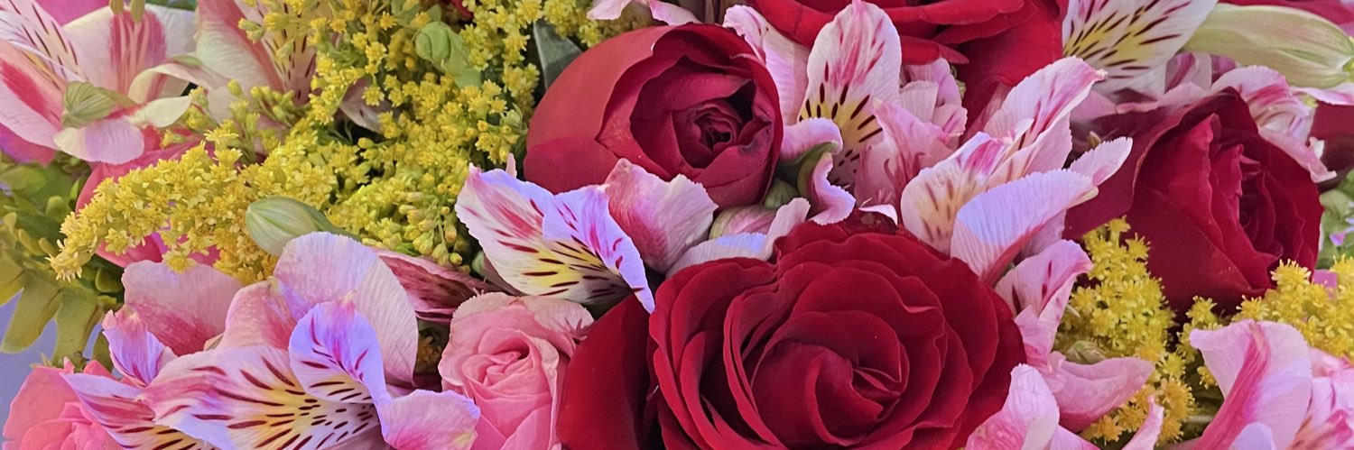 Bela ✨ banner
