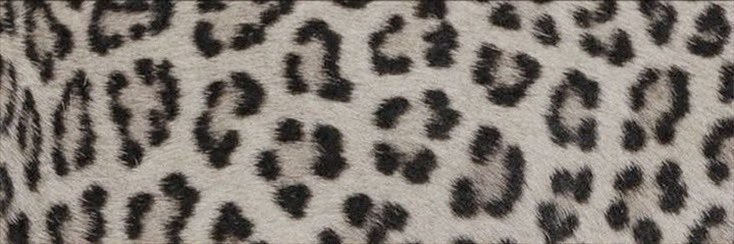 yur▇▇▇▇bila banner