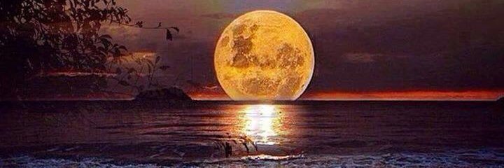 Francisco Vera banner