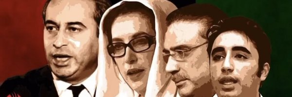 ZainabAliPPP Profile Banner